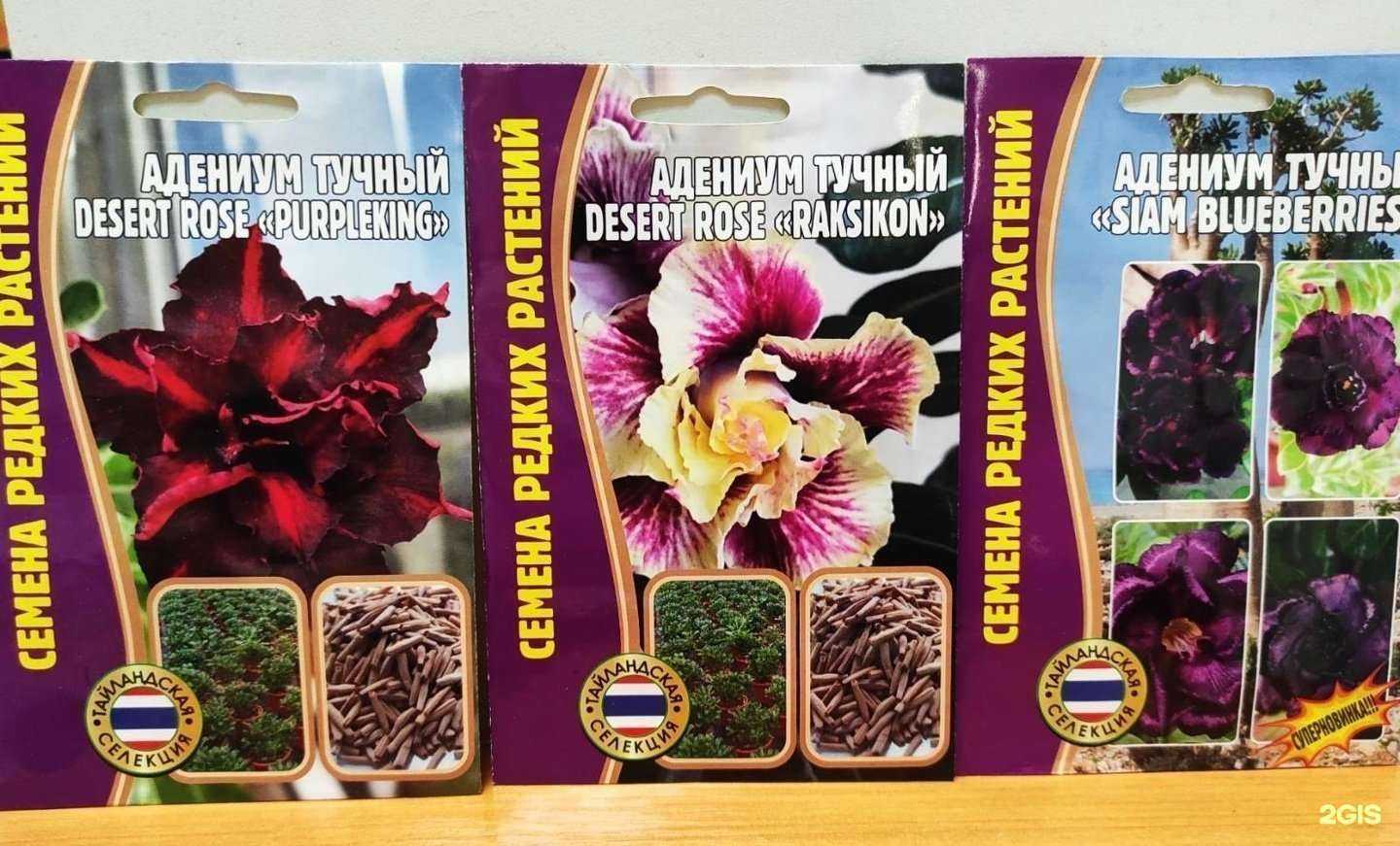 Отзывы на компанию Садовод в г. Пермь c фото