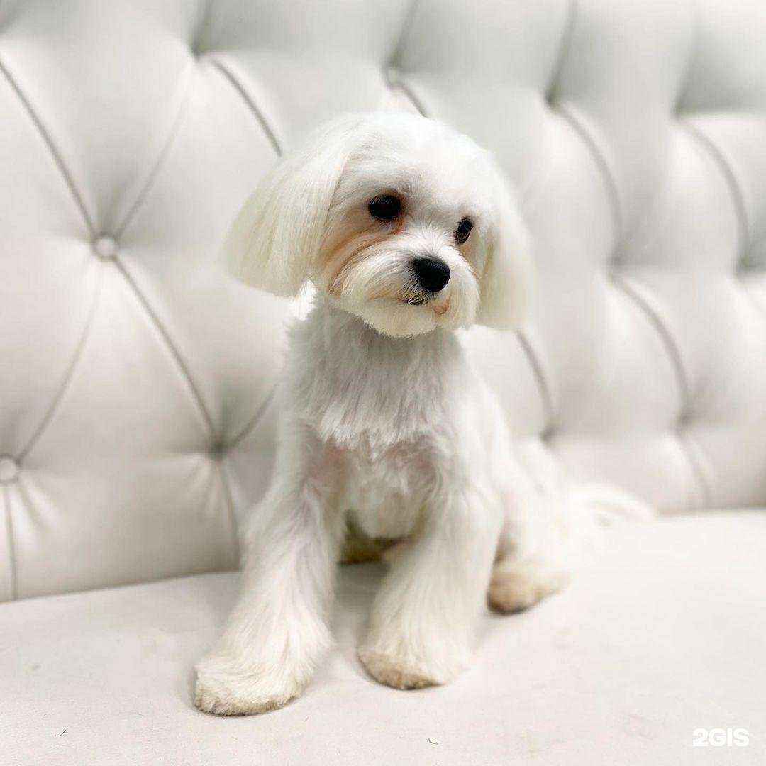 Отзывы на компанию Хвастун в г. Люберцы c фото