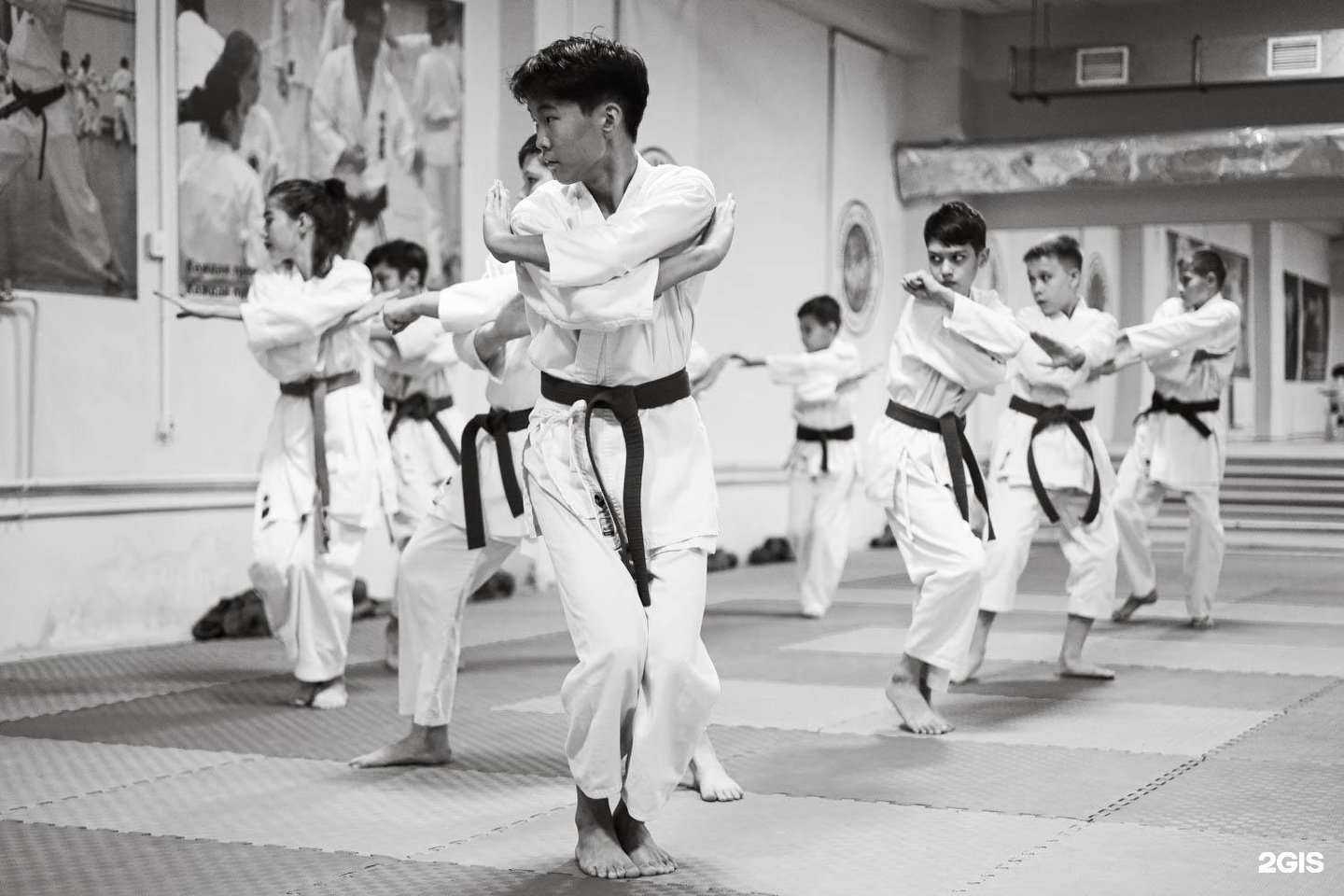 Отзывы на компанию Самурай в Чите c фото