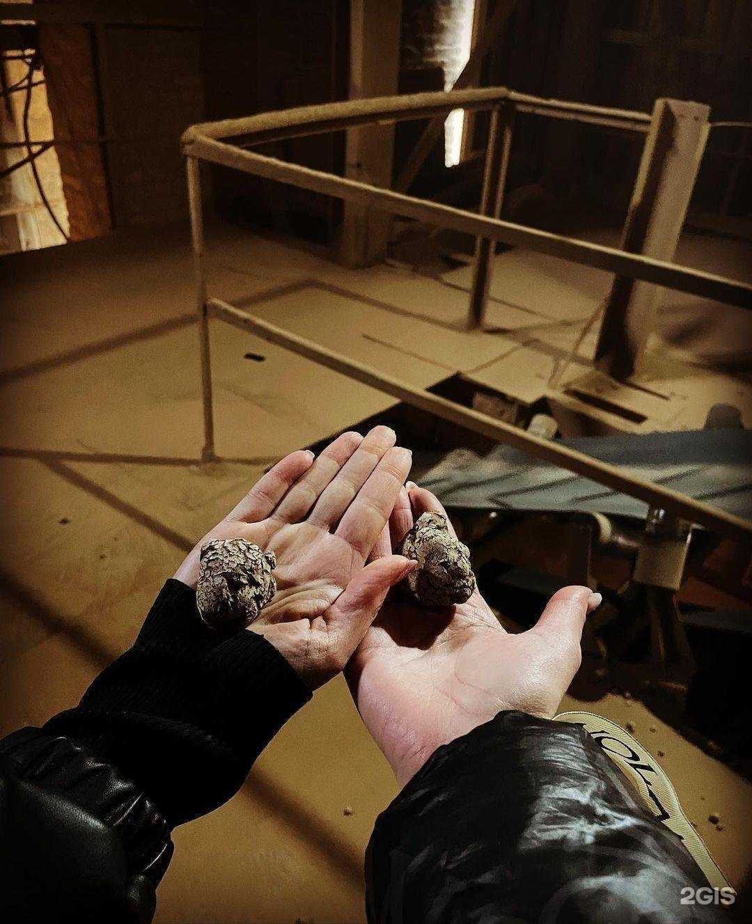 Отзывы на компанию Альпари в Кирове c фото