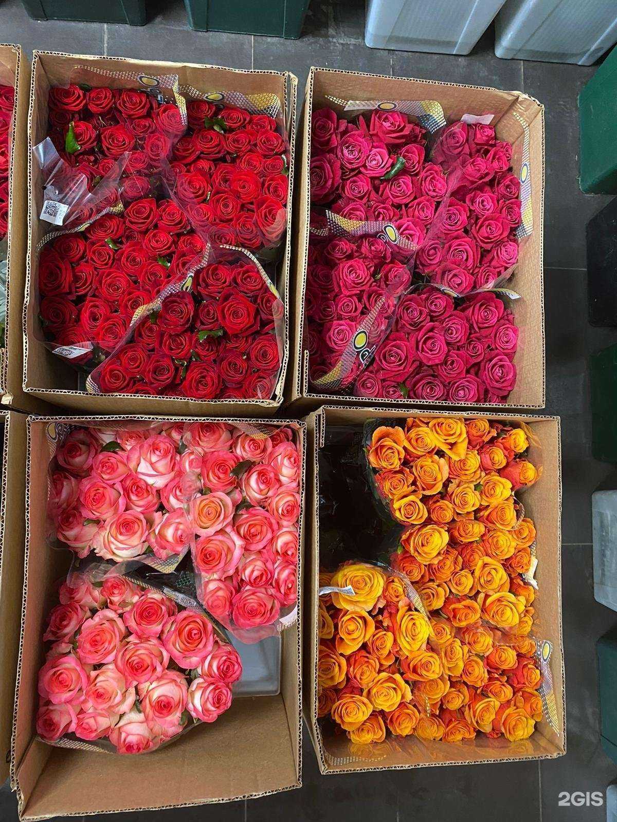 Отзывы на компанию Юг-Агро в Краснодаре c фото