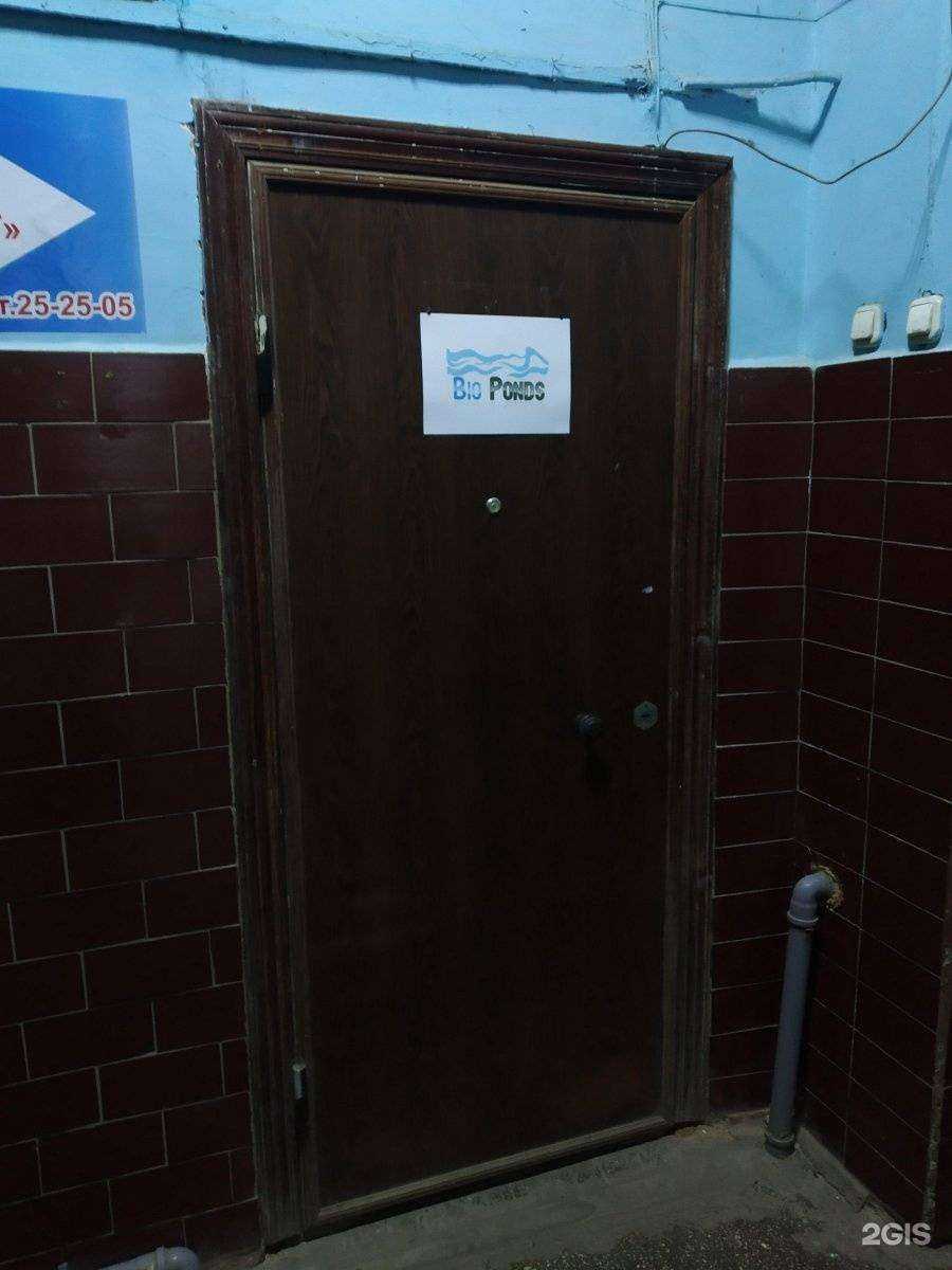 Отзывы на компанию Bioрonds в Саратове c фото