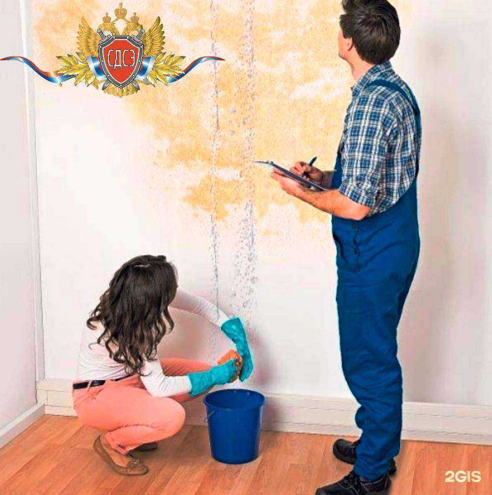 Отзывы на компанию Саратовский департамент судебных экспертиз в г. Саратов c фото