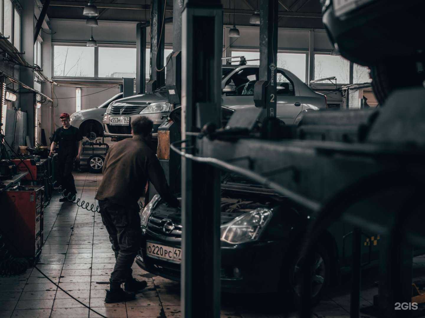 Отзывы на компанию Максима в Выборге c фото