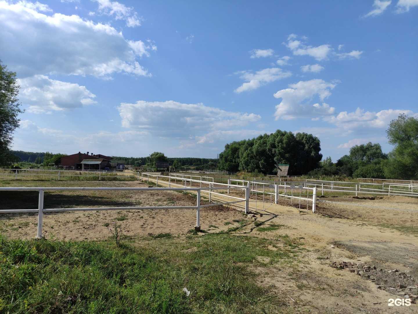 Отзывы на компанию Спортивная школа по конному спорту в г. Воскресенск c фото