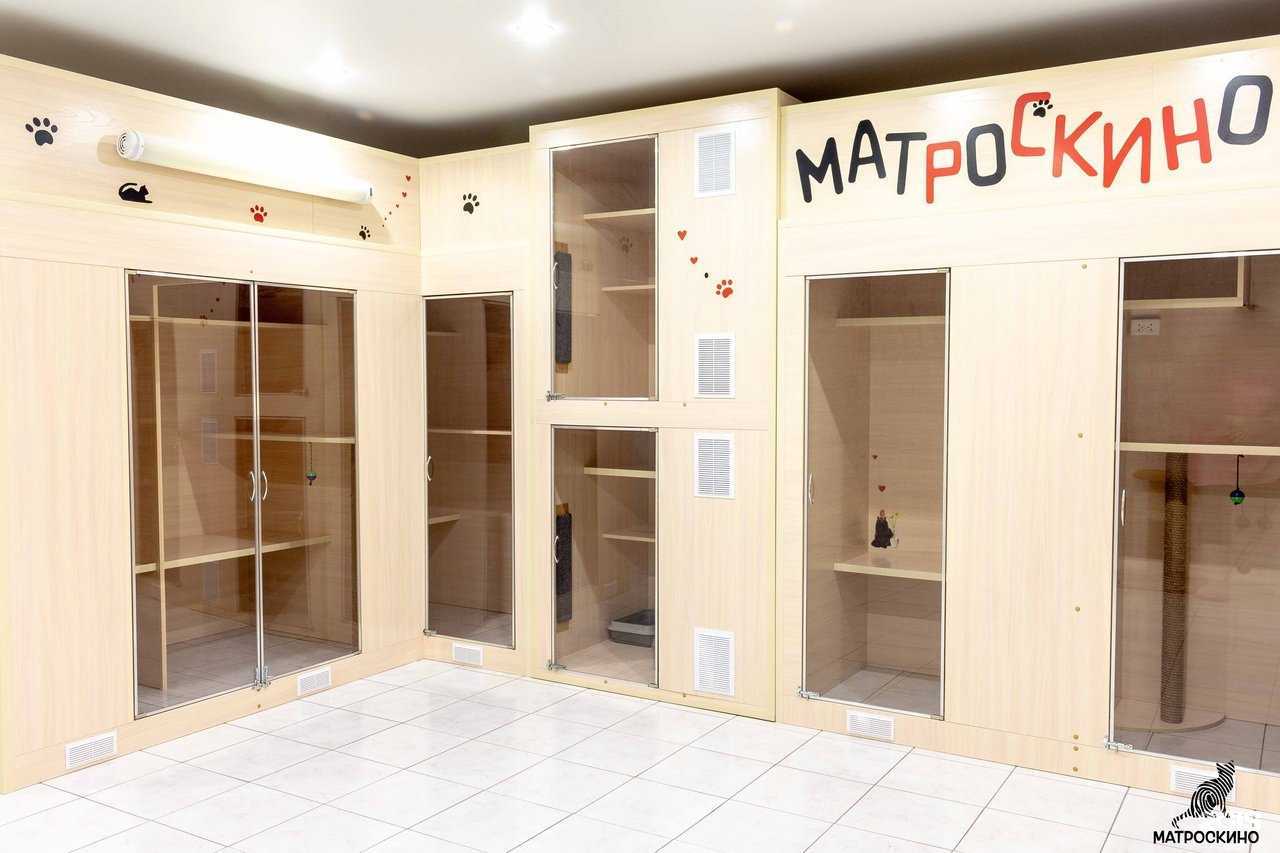 Отзывы на компанию Матроскино в г. Новосибирск c фото