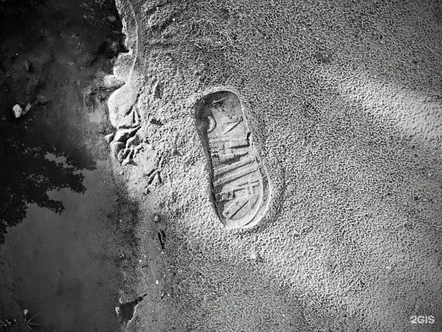 Отзывы на компанию Walrus в Краснодаре c фото