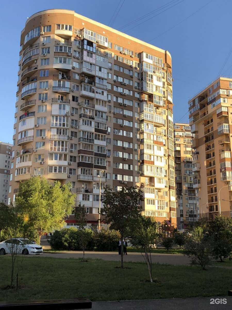 Отзывы на компанию Dogcats.ru в Краснодаре c фото - фотография 2 из 2