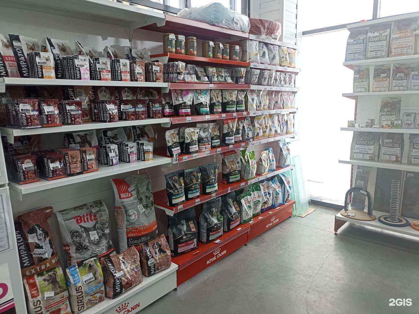 Отзывы на компанию Золотая рыбка в Елабуге c фото