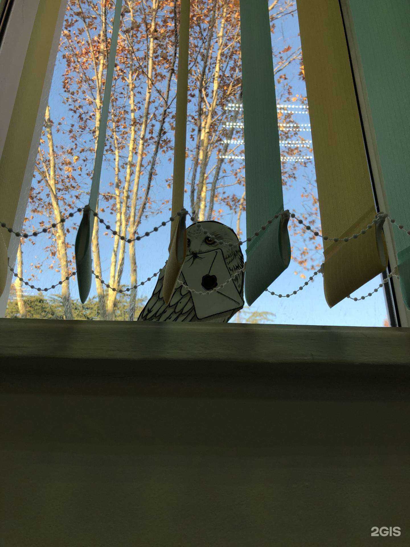 Отзывы на компанию You will в Сочи c фото