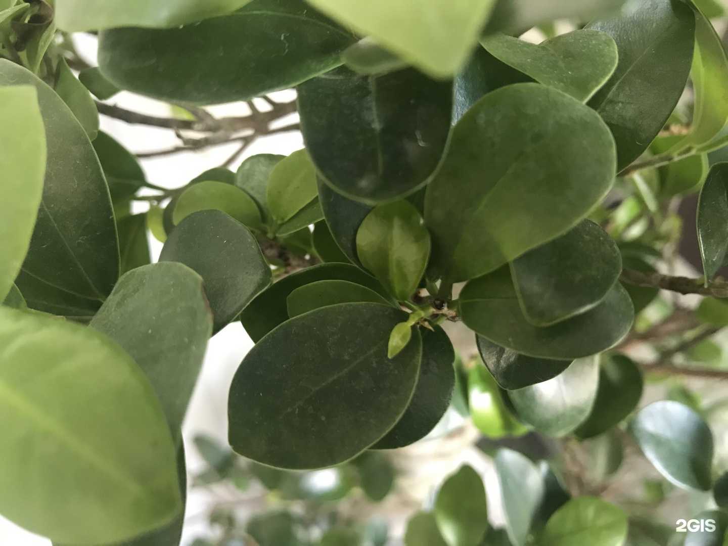 Отзывы на компанию Ростверк в г. Краснодар c фото