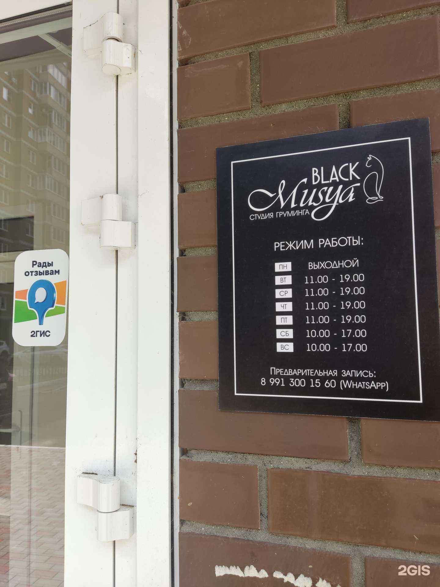 Отзывы на компанию Black musya в Ступине c фото
