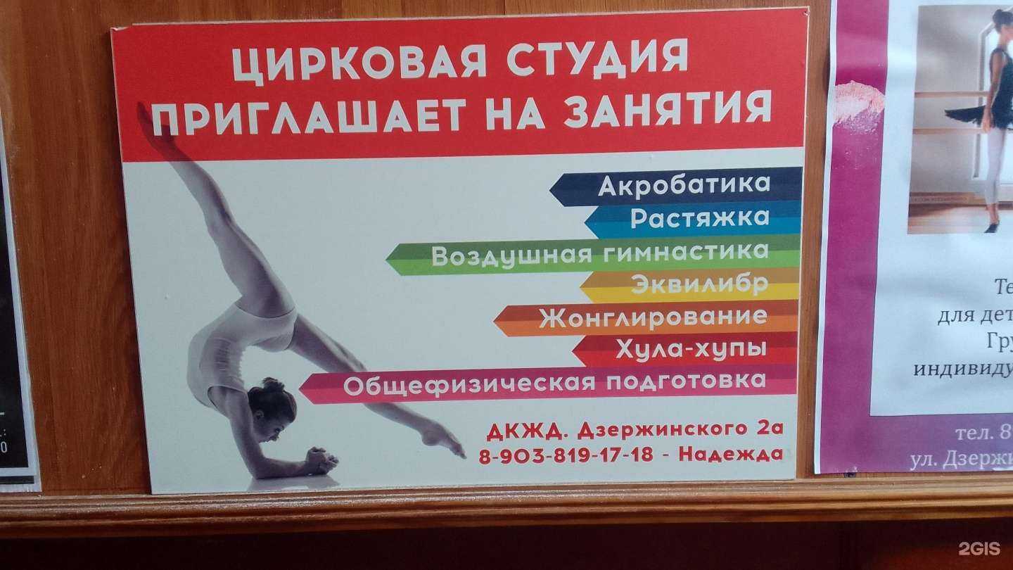 Отзывы на компанию Цирковая студия в г. Брянск c фото