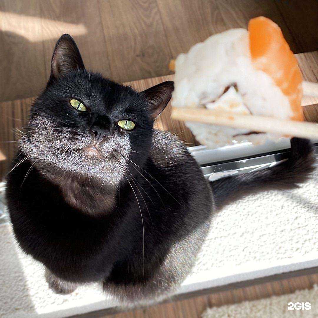 Отзывы на компанию Суши шоп в Якутске c фото