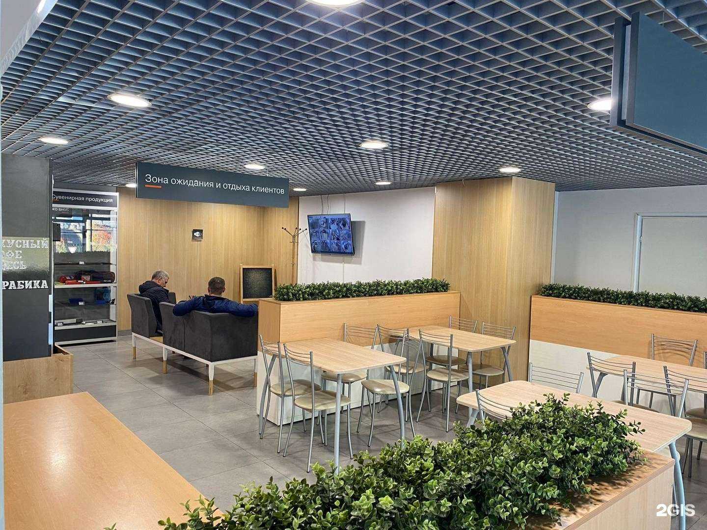 Отзывы на компанию Боравто Викинги в Липецке c фото