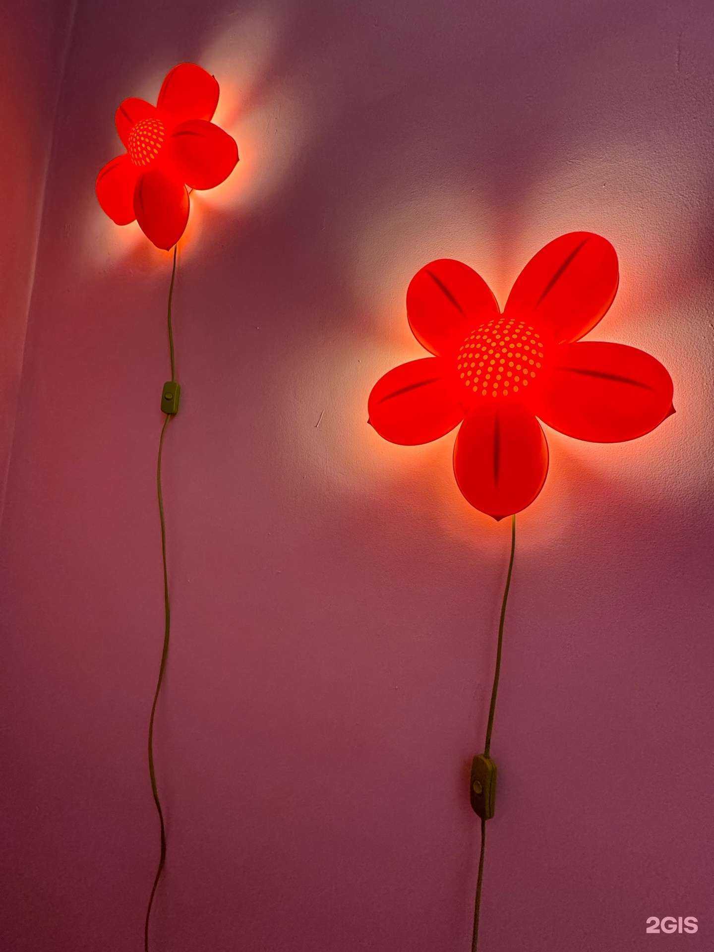 Отзывы на компанию Свои в г. Красноярск c фото