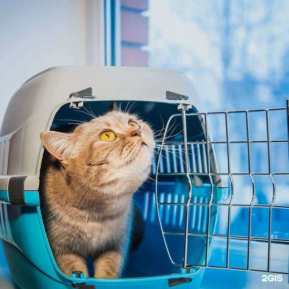 Отзывы на компанию Ветаклиник в Химках c фото