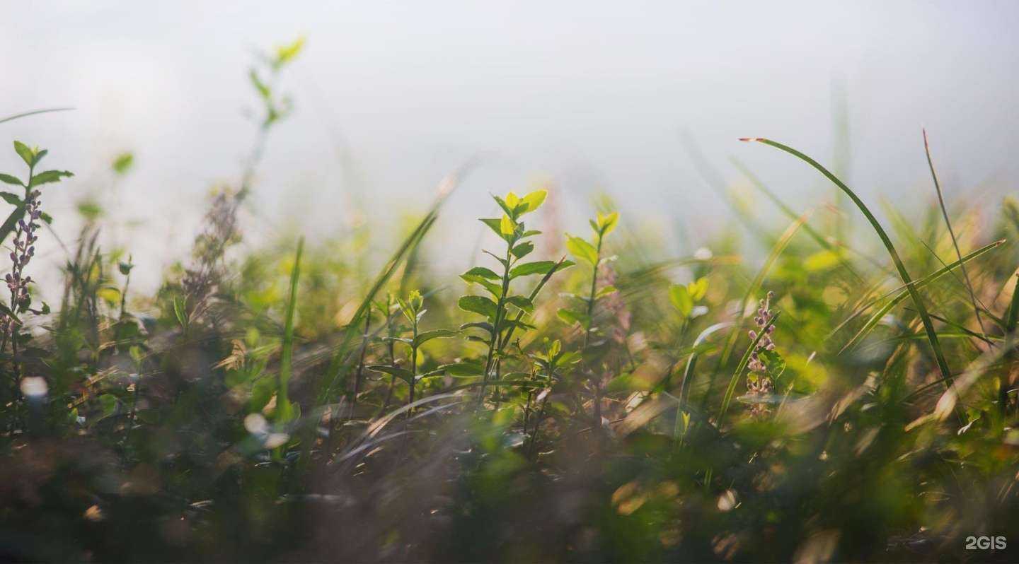 Отзывы на компанию Vitauct в г. Ессентуки c фото