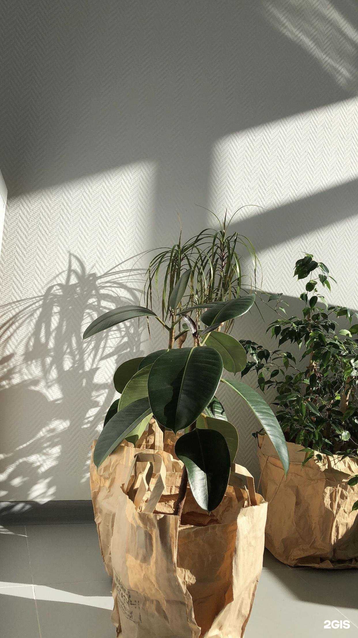 Отзывы на компанию Proманикюр в Нижневартовске c фото