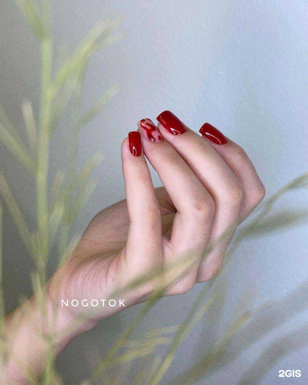 Отзывы на компанию Ноготок в Волгограде c фото