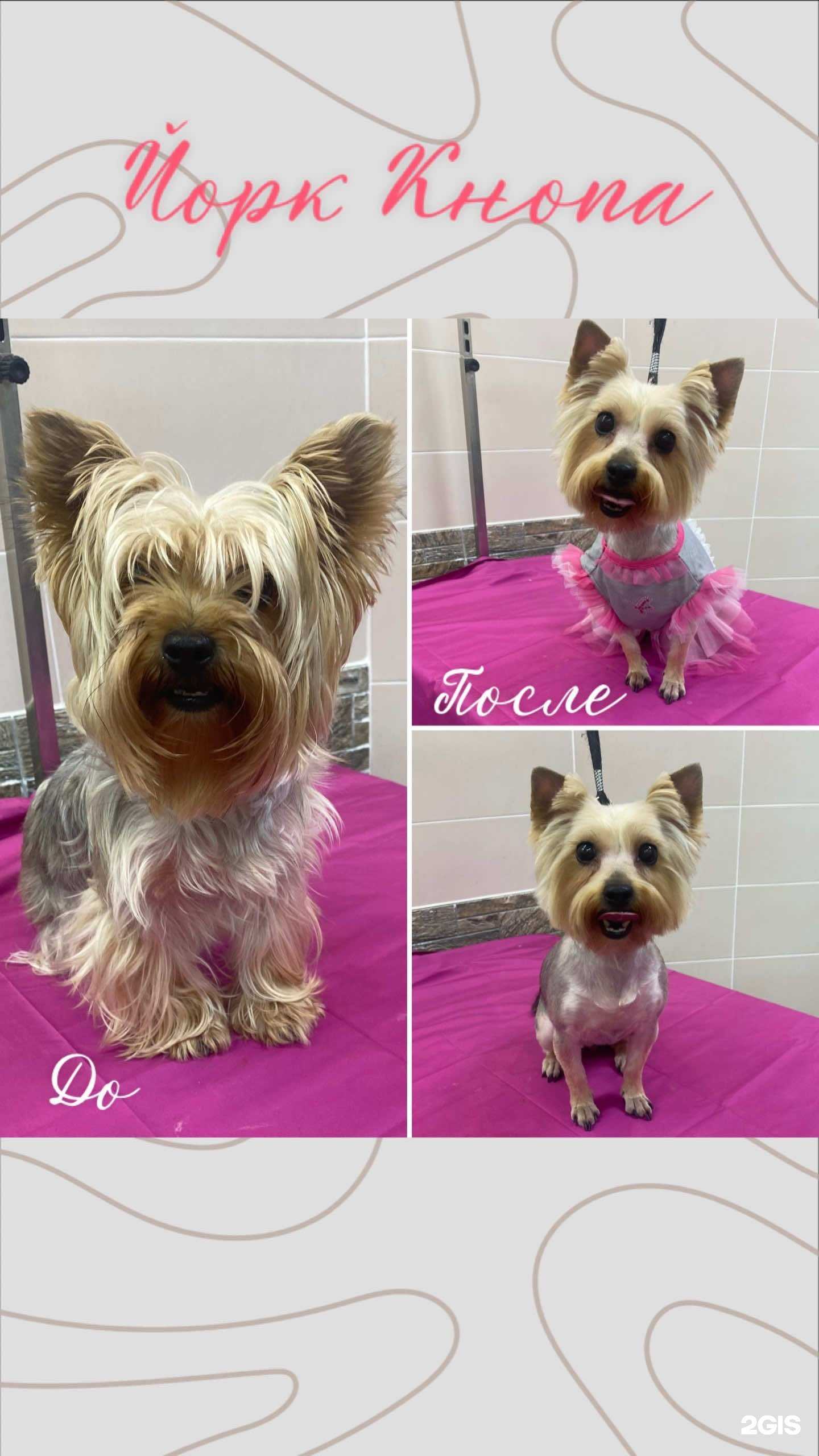 Отзывы на компанию Гаф & Мур в Перми c фото