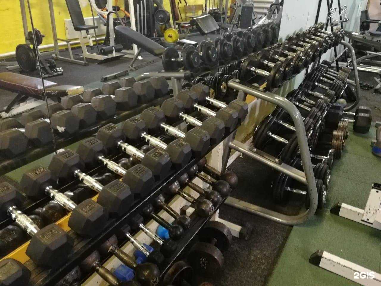 Отзывы на компанию Геркулес в г. Новосибирск c фото