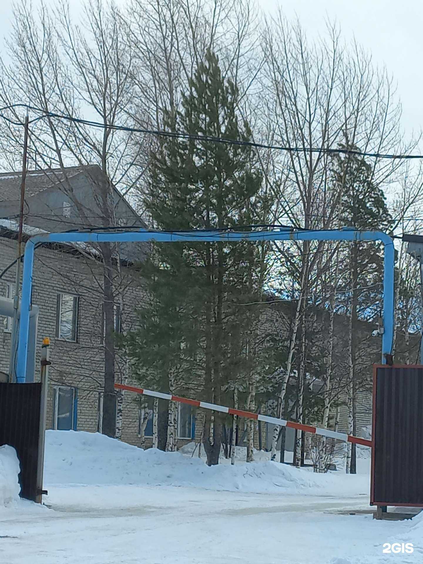 Отзывы на компанию РЭБ речного флота в Мегионе c фото