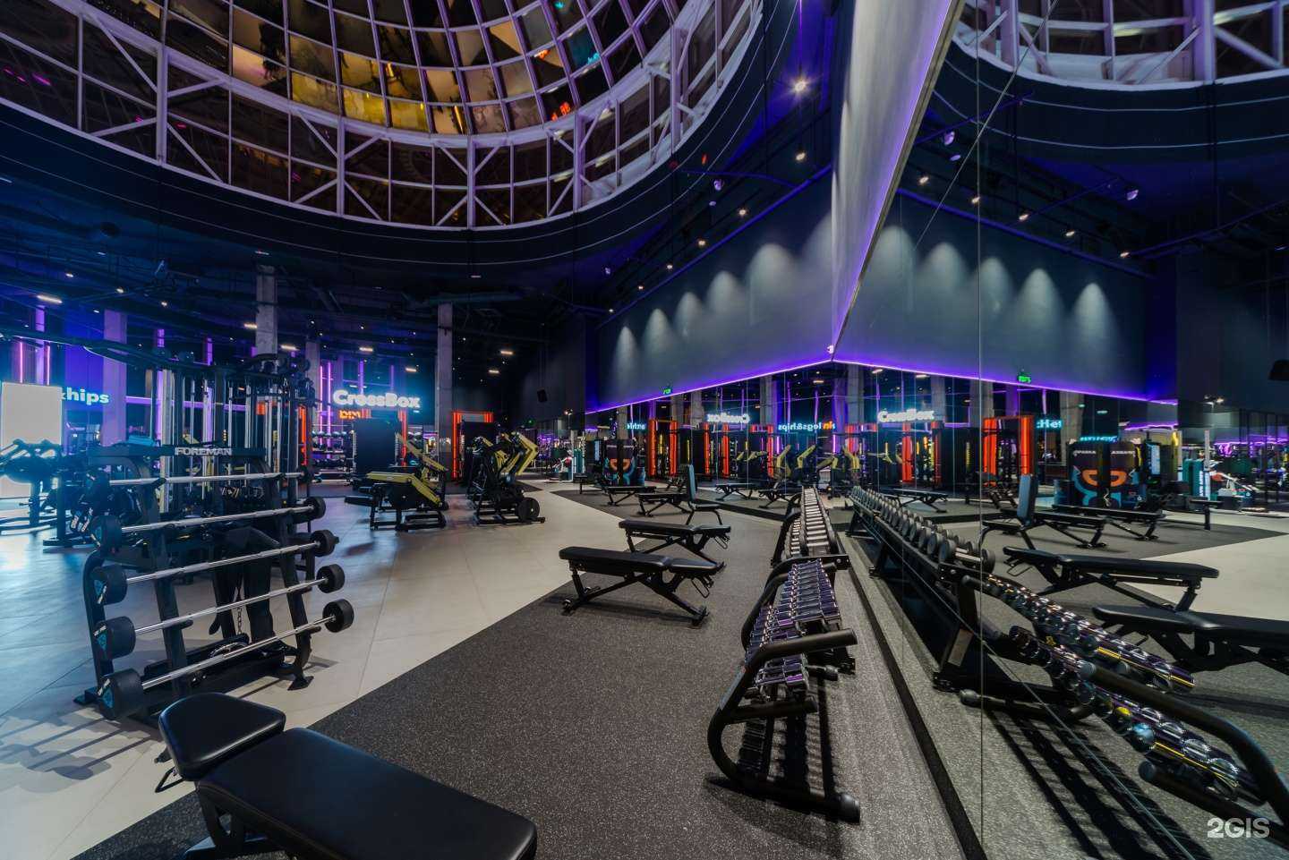 Отзывы на компанию DDX Fitness в Раменском c фото