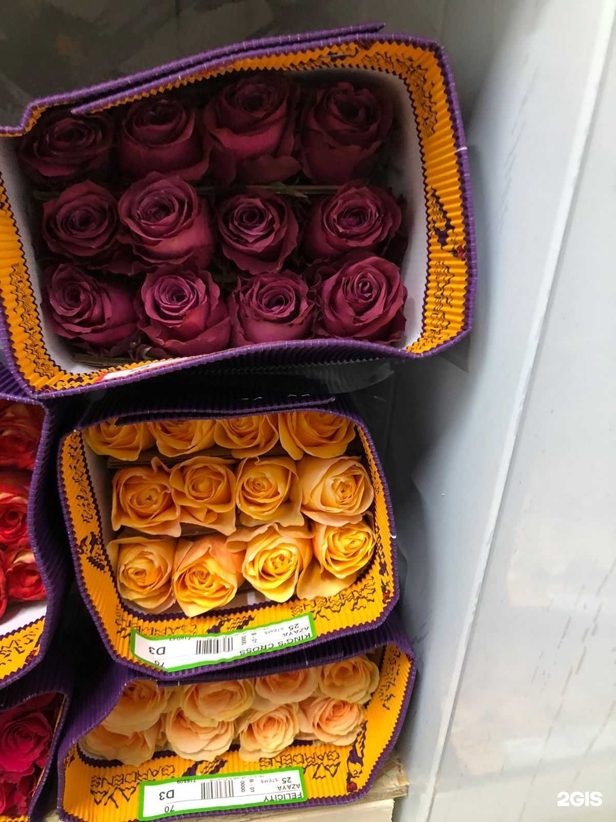 Отзывы на компанию Парадис в г. Ногинск c фото