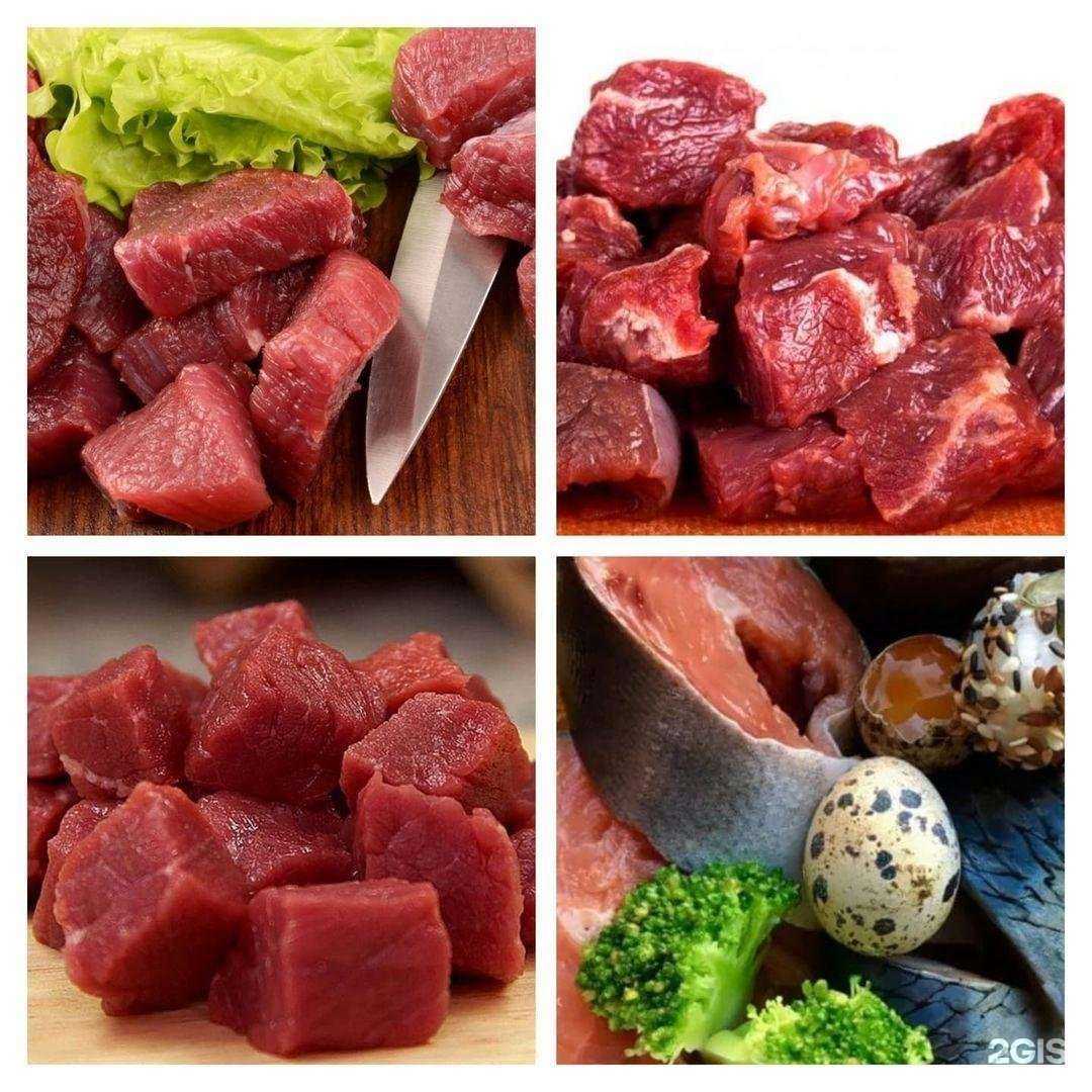 Отзывы на компанию Гастроном для кошек и собак в Нижнем Новгороде c фото