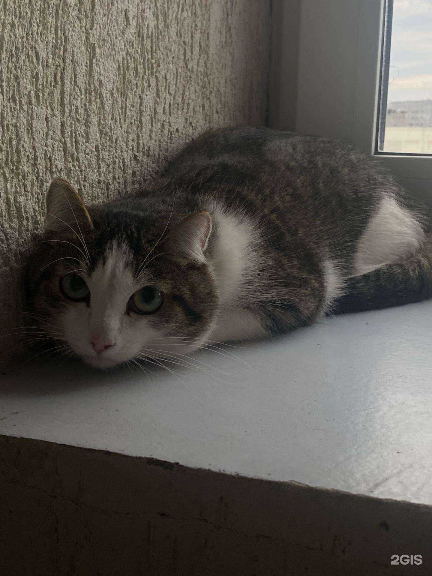 Отзывы на компанию Адвокат Салаватулина А.Ю. в Тюмени c фото - фотография 2 из 2