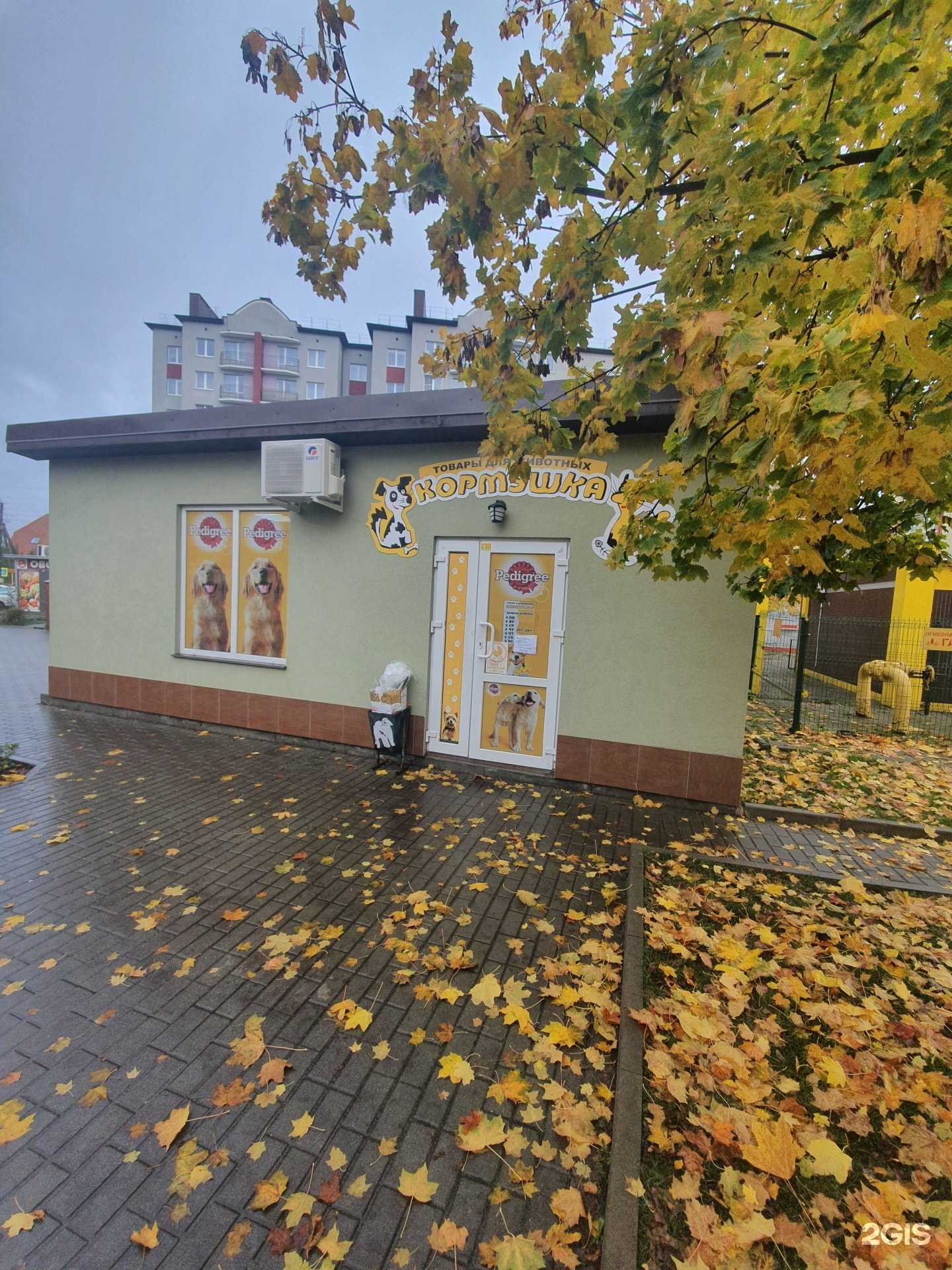 Отзывы на компанию Кормушка в г. Гурьевск c фото