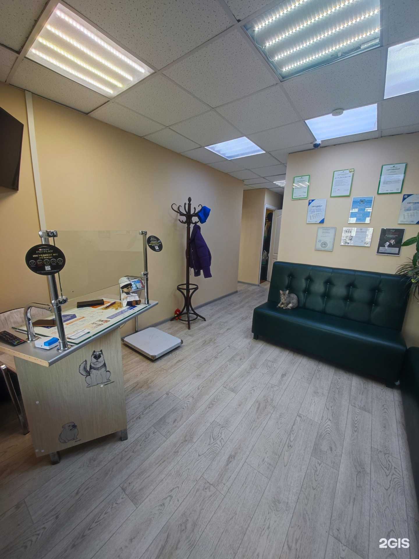 Отзывы на компанию Boni в Саратове c фото