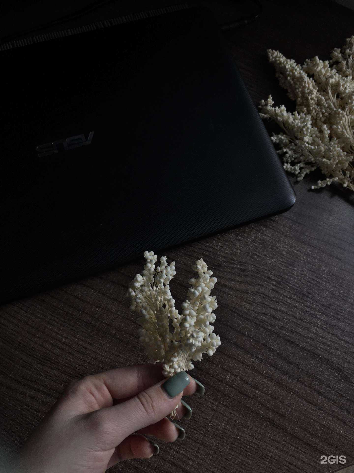 Отзывы на компанию Жасмин в г. Тверь c фото