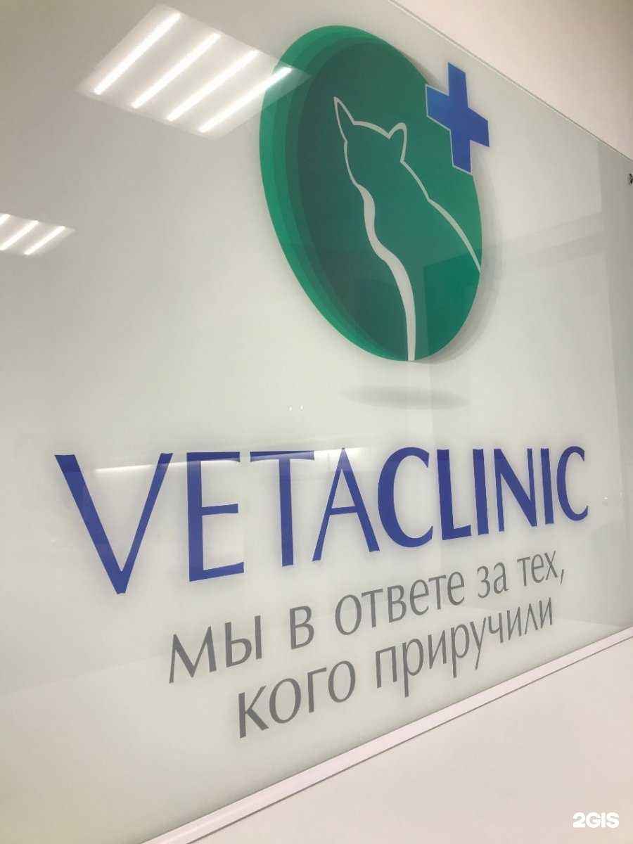 Отзывы на компанию Вета Клиник в г. Новосибирск c фото