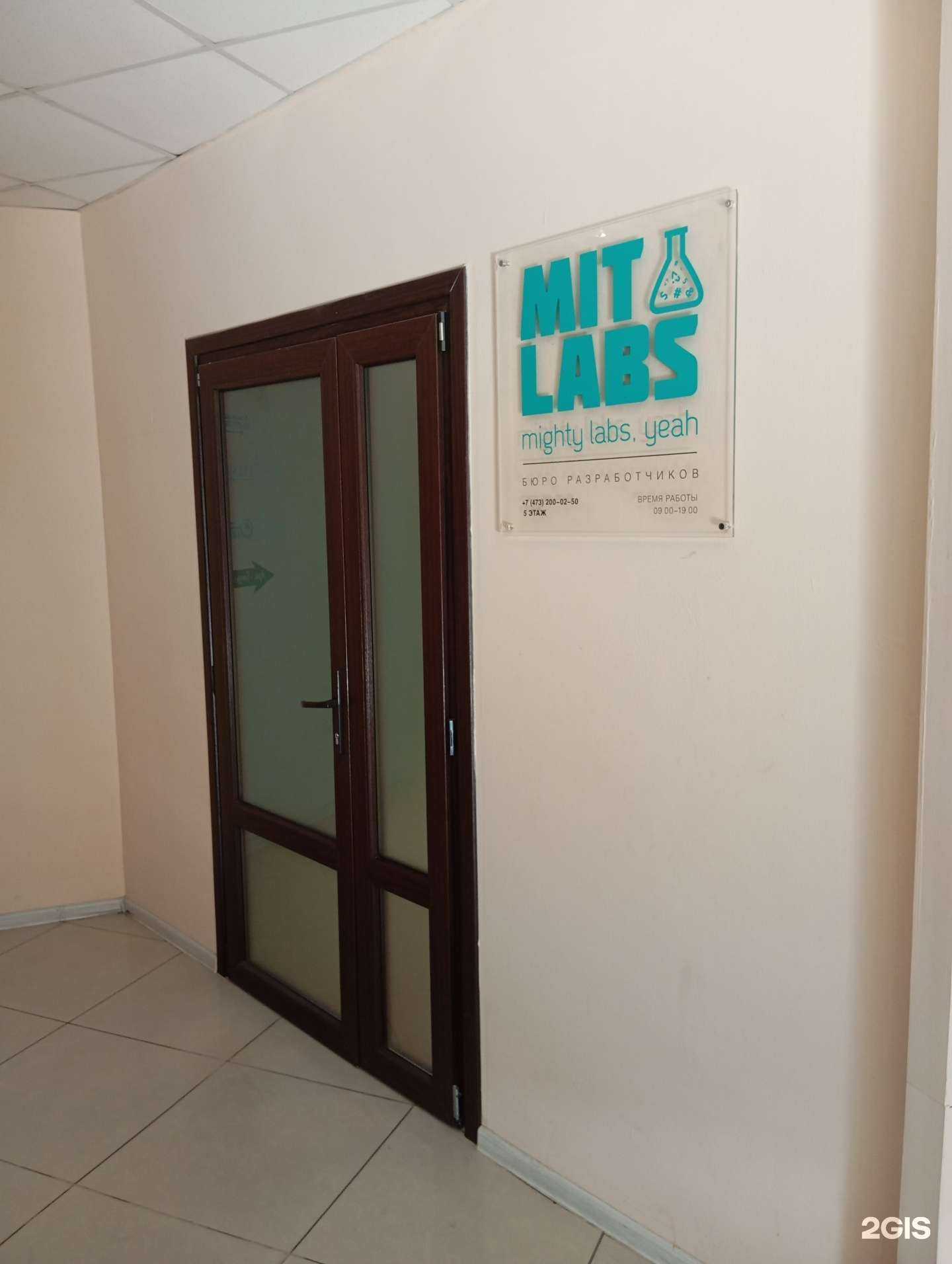 Отзывы на компанию MitLabs в Воронеже c фото