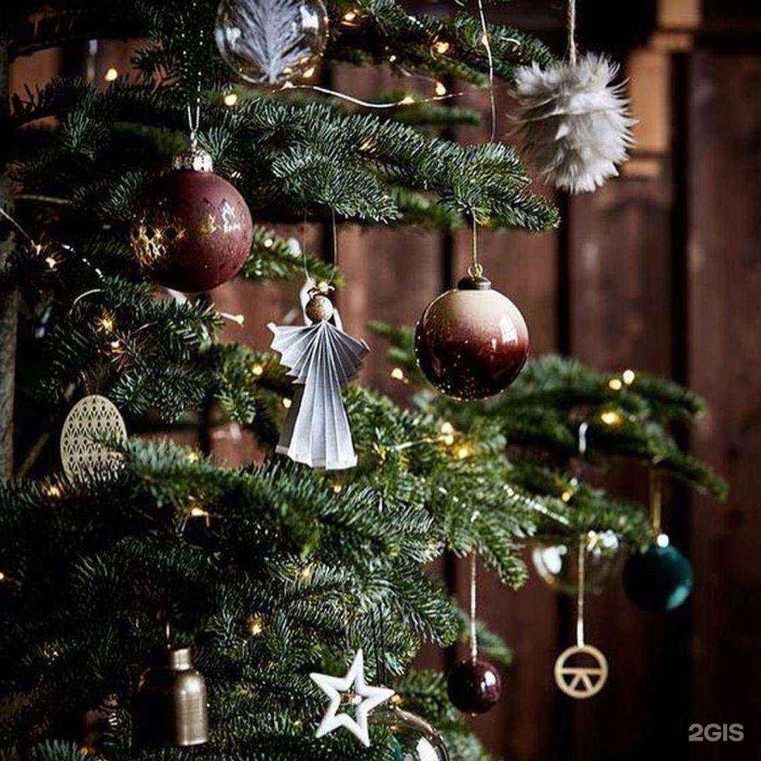 Отзывы на компанию Mак в г. Новороссийск c фото