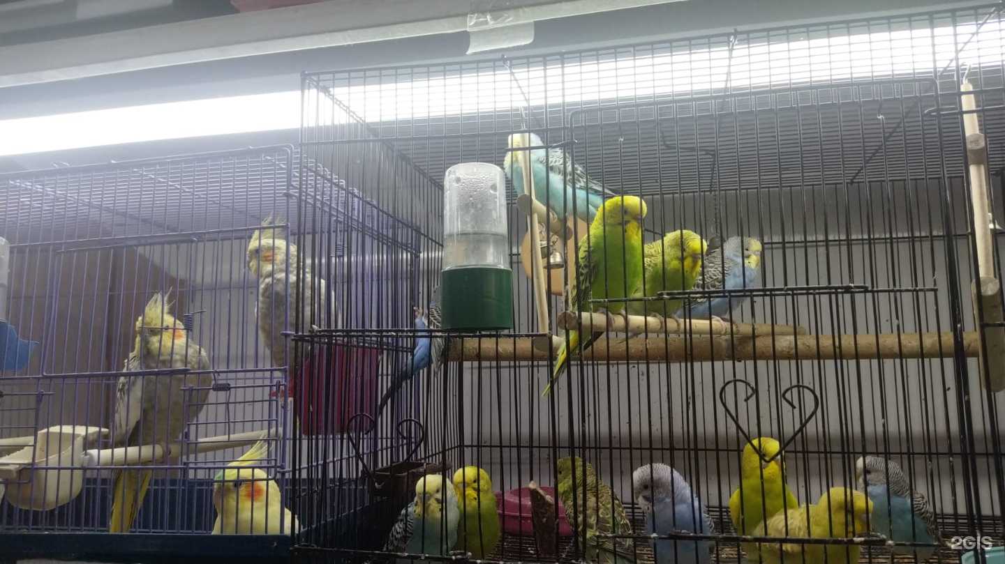 Отзывы на компанию Рио в г. Стерлитамак c фото