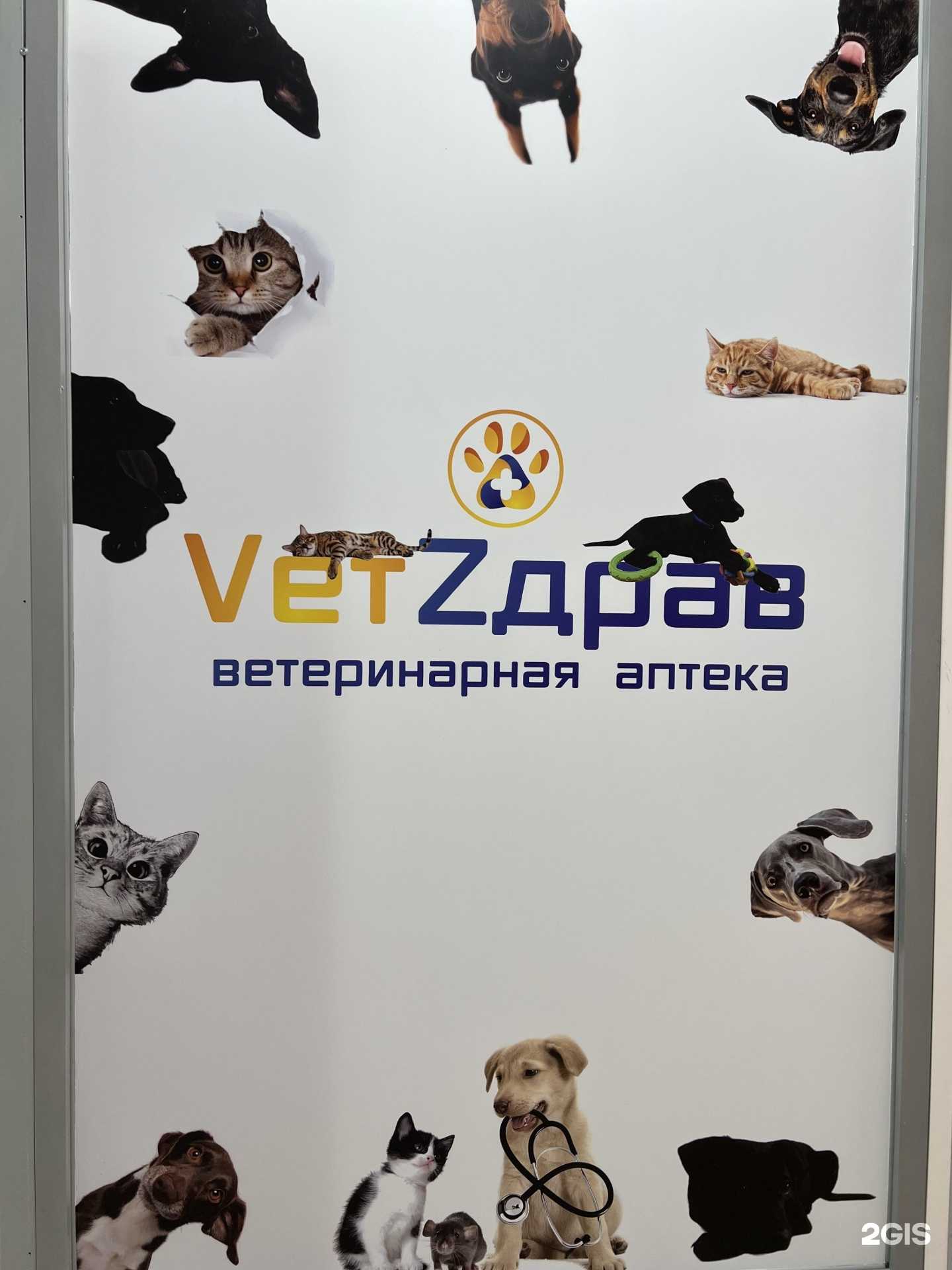 Отзывы на компанию Ветздрав в г. Мурманск c фото