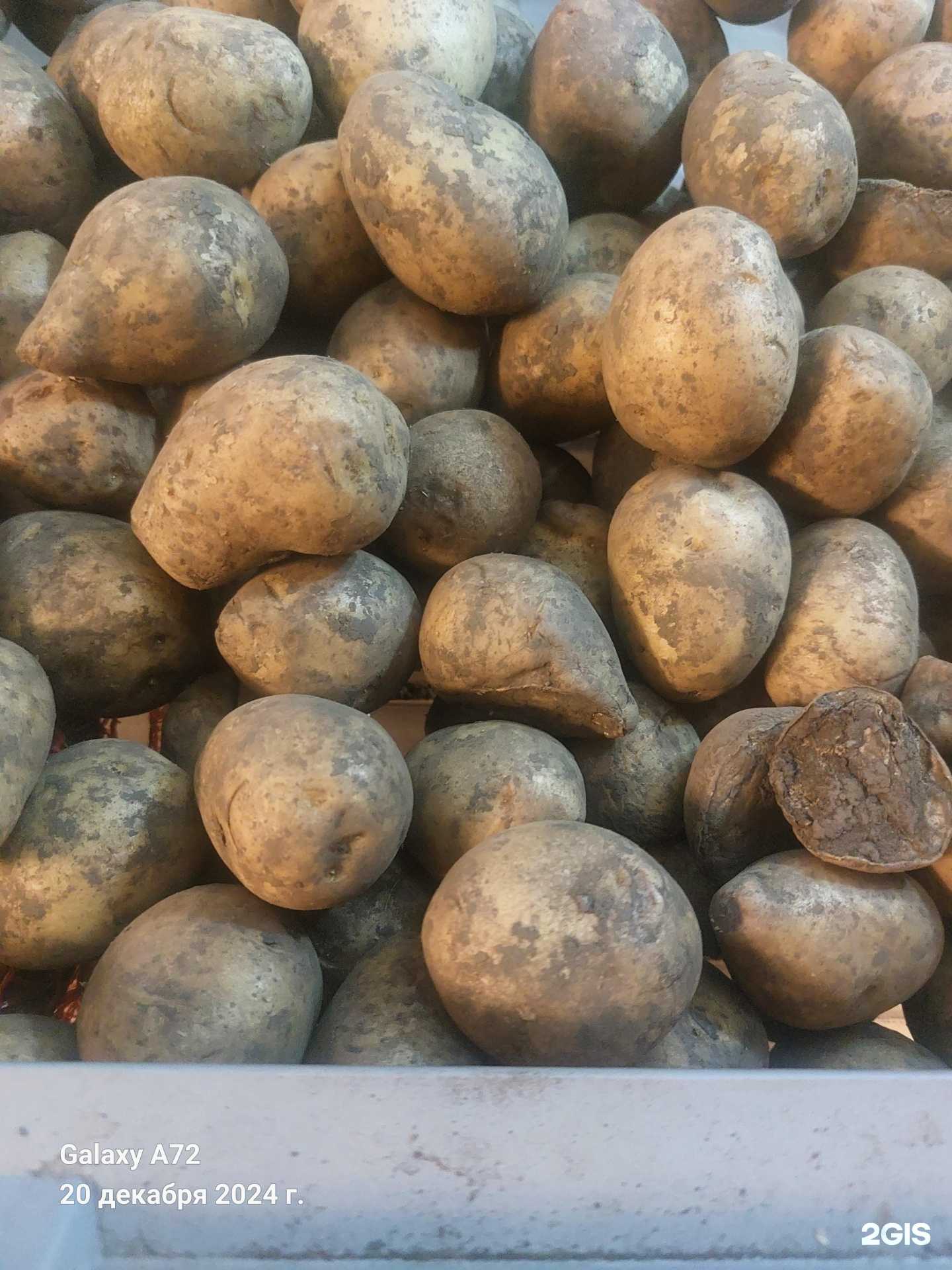 Отзывы на компанию Лента в г. Новосибирск c фото