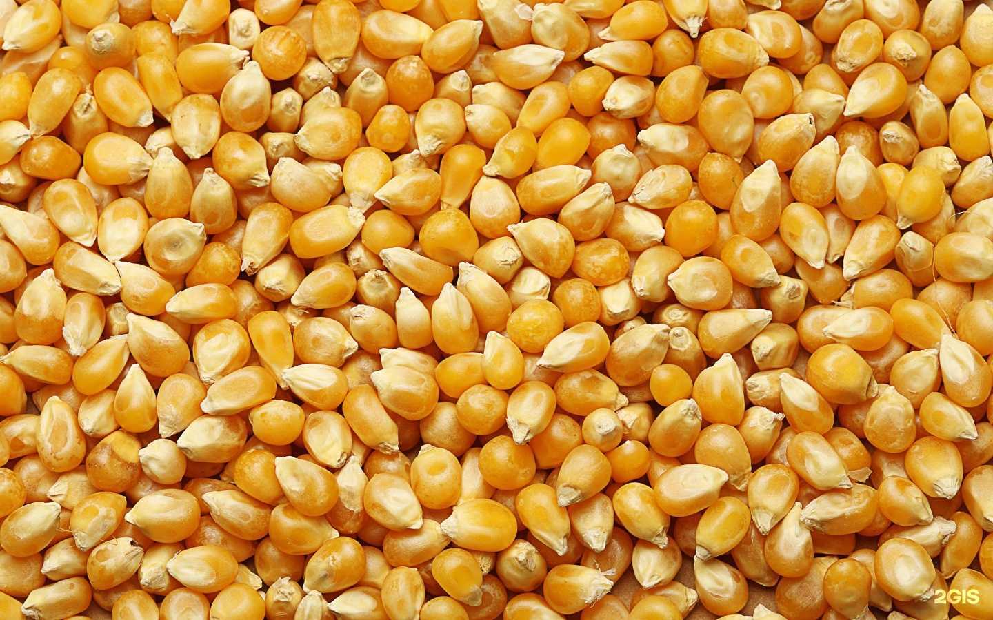 Отзывы на компанию Магазин комбикормов и зерновых в г. Кыштым c фото