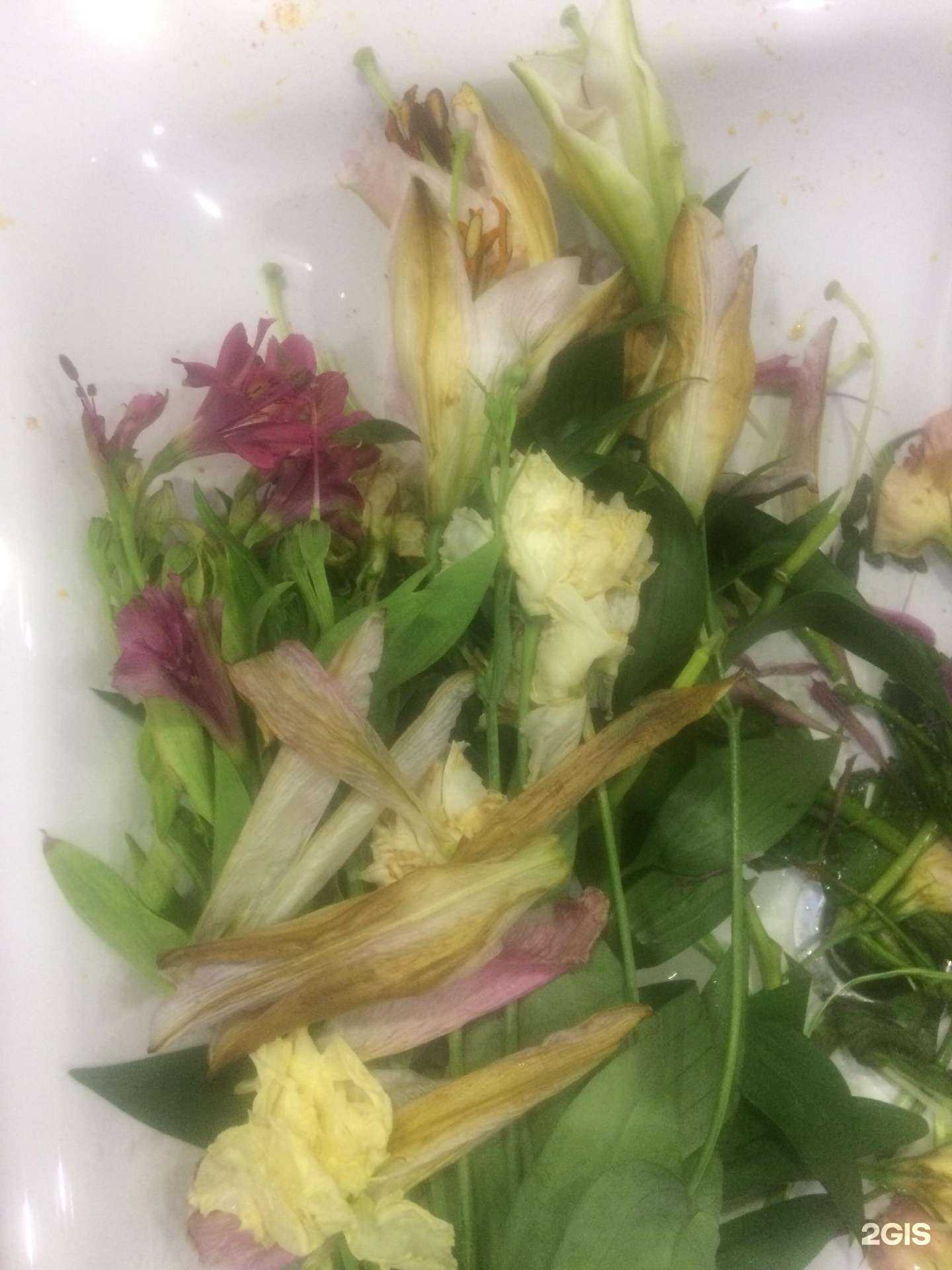 Отзывы на компанию Флоренция в г. Екатеринбург c фото