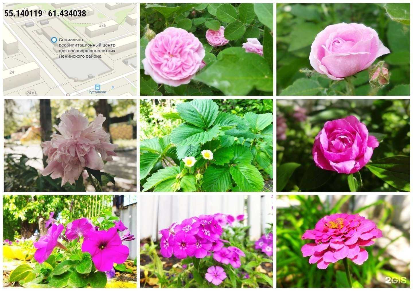 Отзывы на компанию Социально-реабилитационный центр для несовершеннолетних Ленинского района в Челябинске c фото