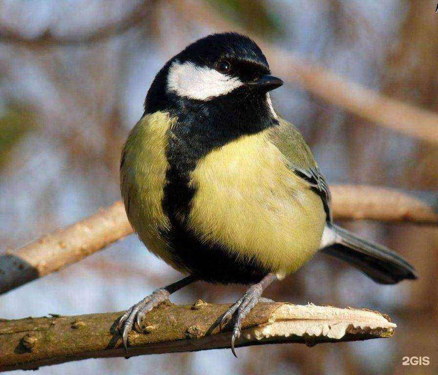 Отзывы на компанию Детский сад №147 в Иванове c фото