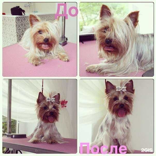 Отзывы на компанию Купер в г. Тюмень c фото