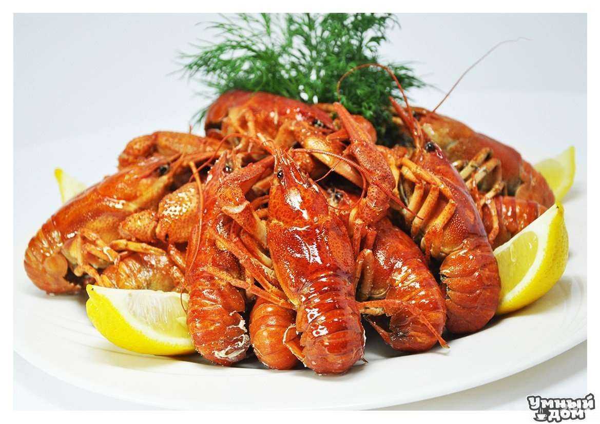 Отзывы на компанию Барракуда+ в Белореченске c фото