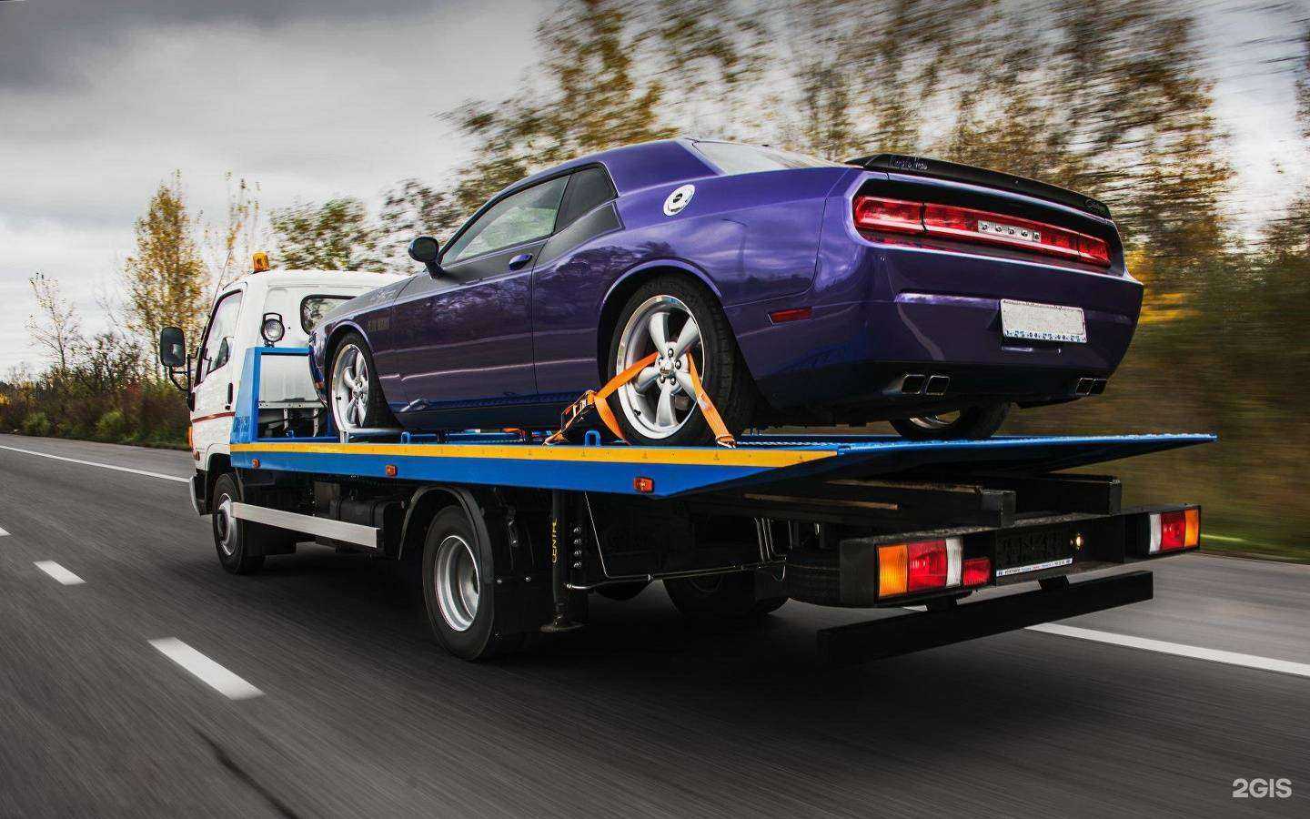 Отзывы на компанию Звезда в г. Ревда c фото