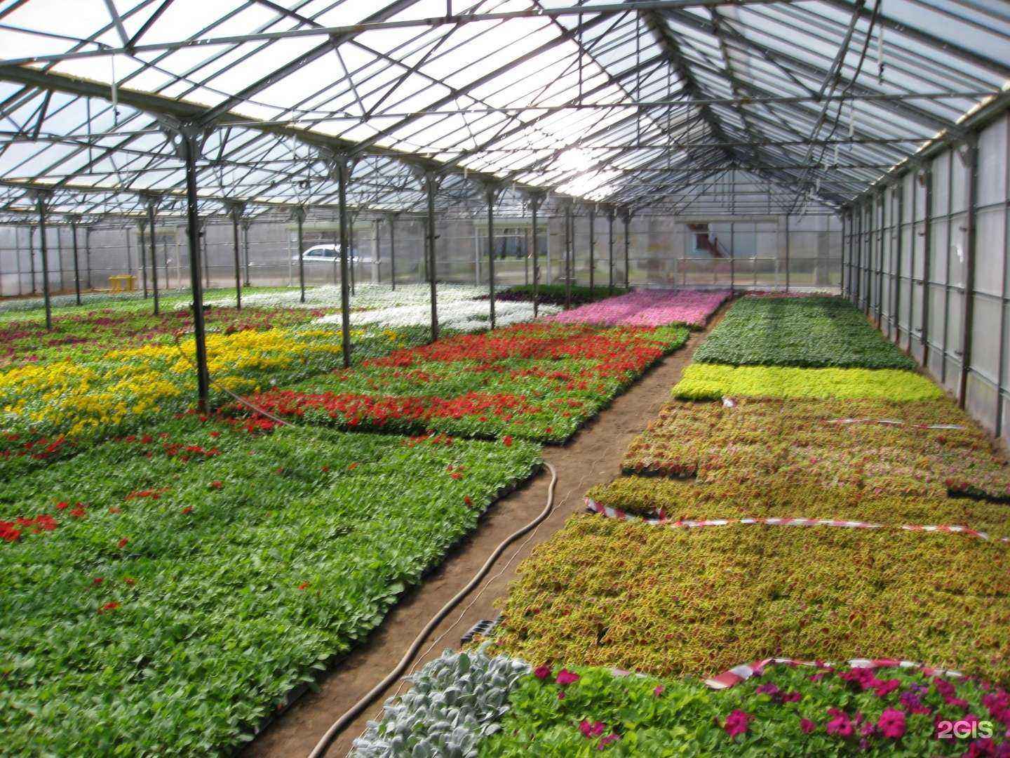 Отзывы на компанию Второй Дом в Воронеже c фото