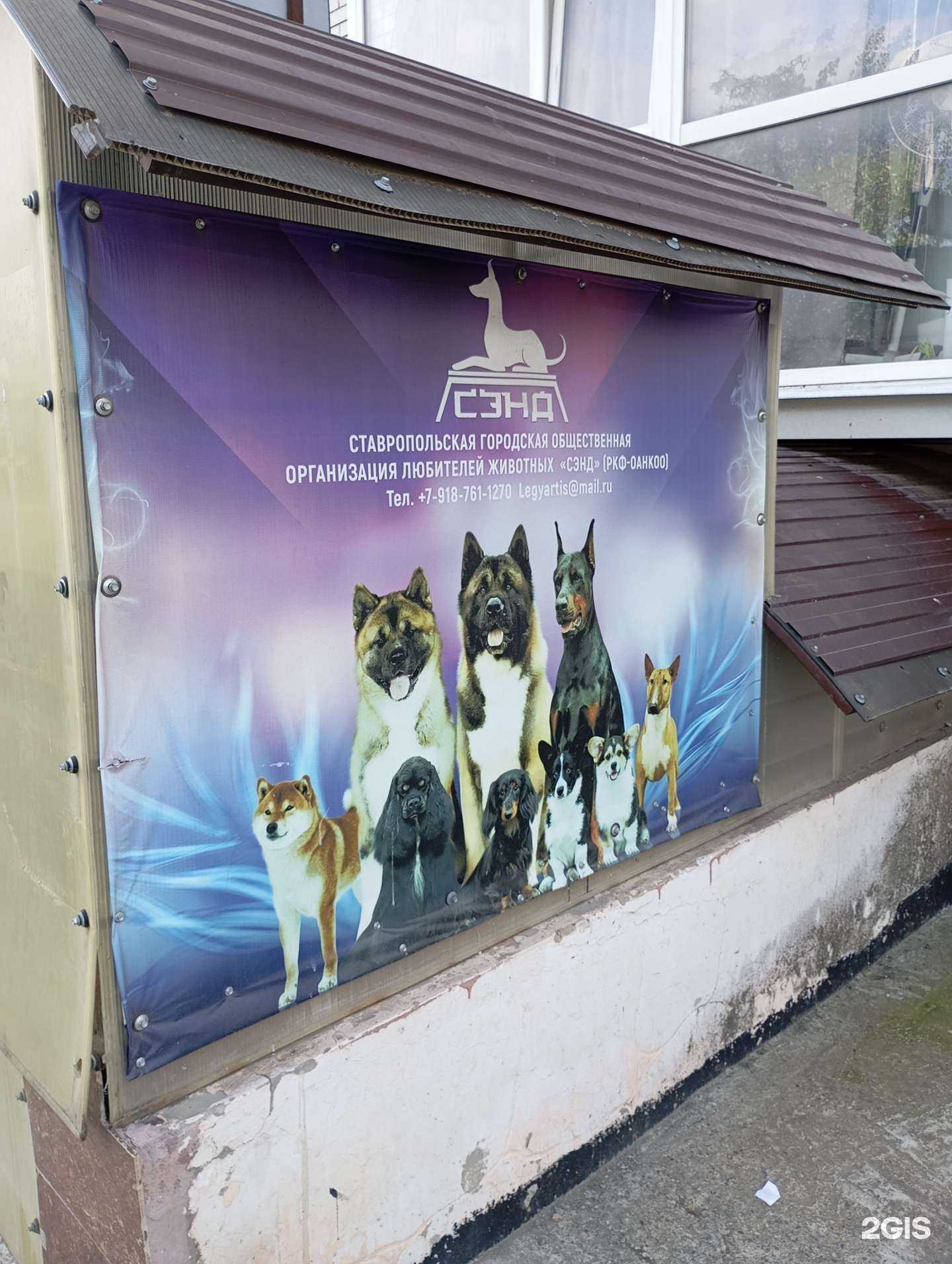 Отзывы на компанию Леги Артис в Ставрополе c фото