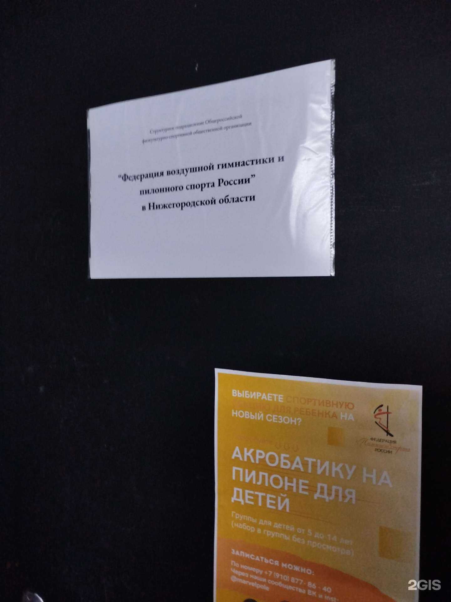 Отзывы на компанию Федерация воздушной гимнастики в Нижнем Новгороде c фото